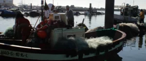 Pescadores_4
