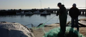 Pescadores_8